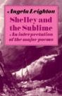 Shelley And The Sublime - Preview