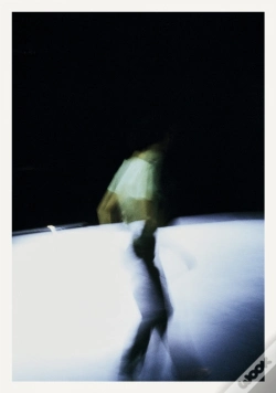 Capa do artigo Shelley Lasica: When I Am Not There