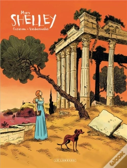 Capa do artigo Shelley T.2 Shelley 2