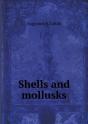 Shells And Mollusks - Preview