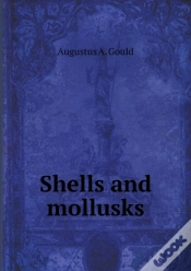 Capa do artigo Shells And Mollusks