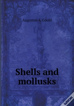 Capa do artigo Shells And Mollusks