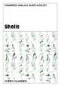 Shells - Preview