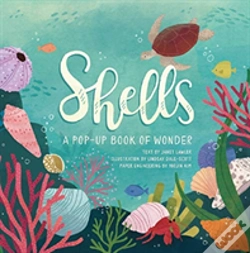 Capa do artigo Shells