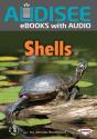 Shells - Preview