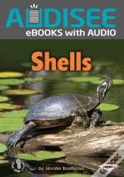 Capa do artigo Shells