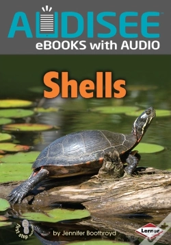 Capa do artigo Shells