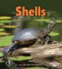 Shells - Preview