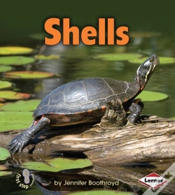 Capa do artigo Shells