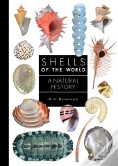 Shells Of The World
