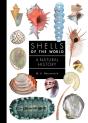 Shells Of The World - Preview
