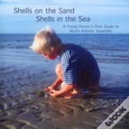 Shells On The Sand, Shells In The Sea