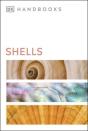 Shells - Preview