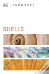 Shells