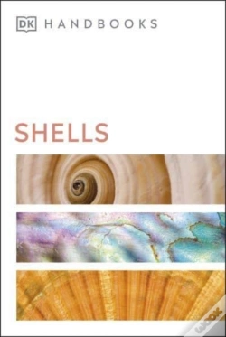 Capa do artigo Shells
