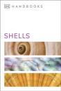 Shells - Preview