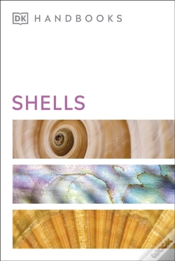 Capa do artigo Shells