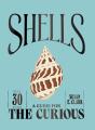Shells - Preview