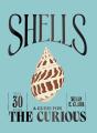 Shells - Preview