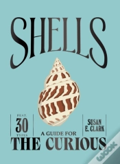 Capa do artigo Shells