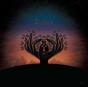 Shelter - CD - Preview