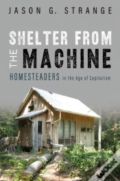 Capa do artigo Shelter From The Machine