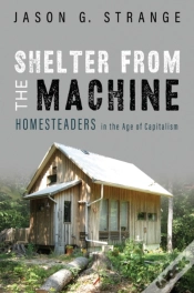 Capa do artigo Shelter From The Machine