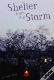 Capa do artigo Shelter From The Storm