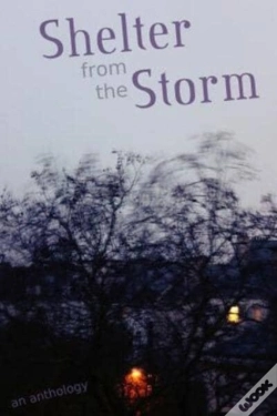 Capa do artigo Shelter From The Storm