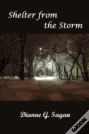 Capa do artigo Shelter From The Storm