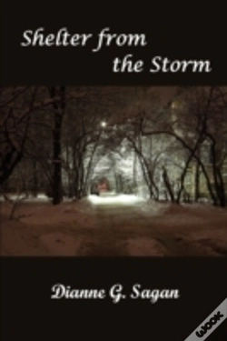 Capa do artigo Shelter From The Storm