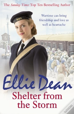 Capa do artigo Shelter From The Storm