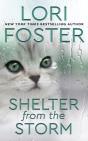 Shelter From The Storm - Preview