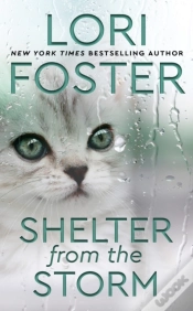 Capa do artigo Shelter From The Storm