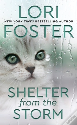 Capa do artigo Shelter From The Storm