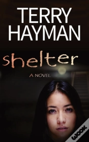 Capa do artigo Shelter