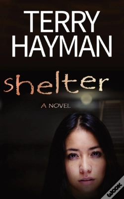Capa do artigo Shelter