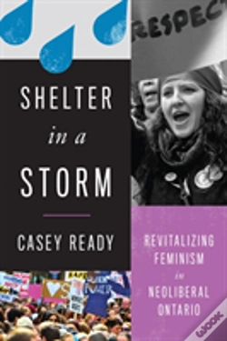 Capa do artigo Shelter In A Storm