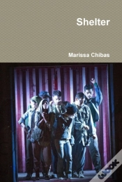 Capa do artigo Shelter