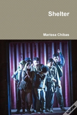 Capa do artigo Shelter