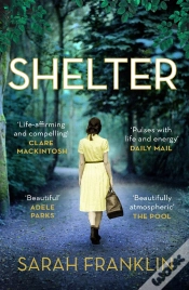 Capa do artigo Shelter