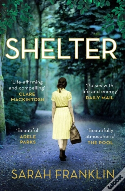 Capa do artigo Shelter
