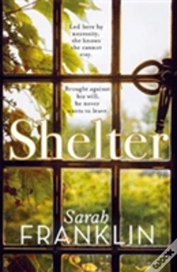 Capa do artigo Shelter