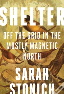 Capa do artigo Shelter