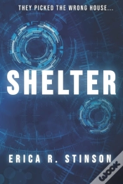 Capa do artigo Shelter
