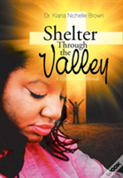 Capa do artigo Shelter Through The Valley