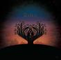 Shelter - Vinil - Preview