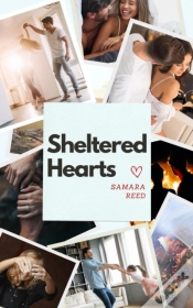 Capa do artigo Sheltered Hearts
