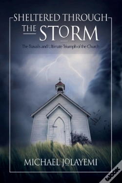 Capa do artigo Sheltered Through The Storm