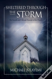 Capa do artigo Sheltered Through The Storm